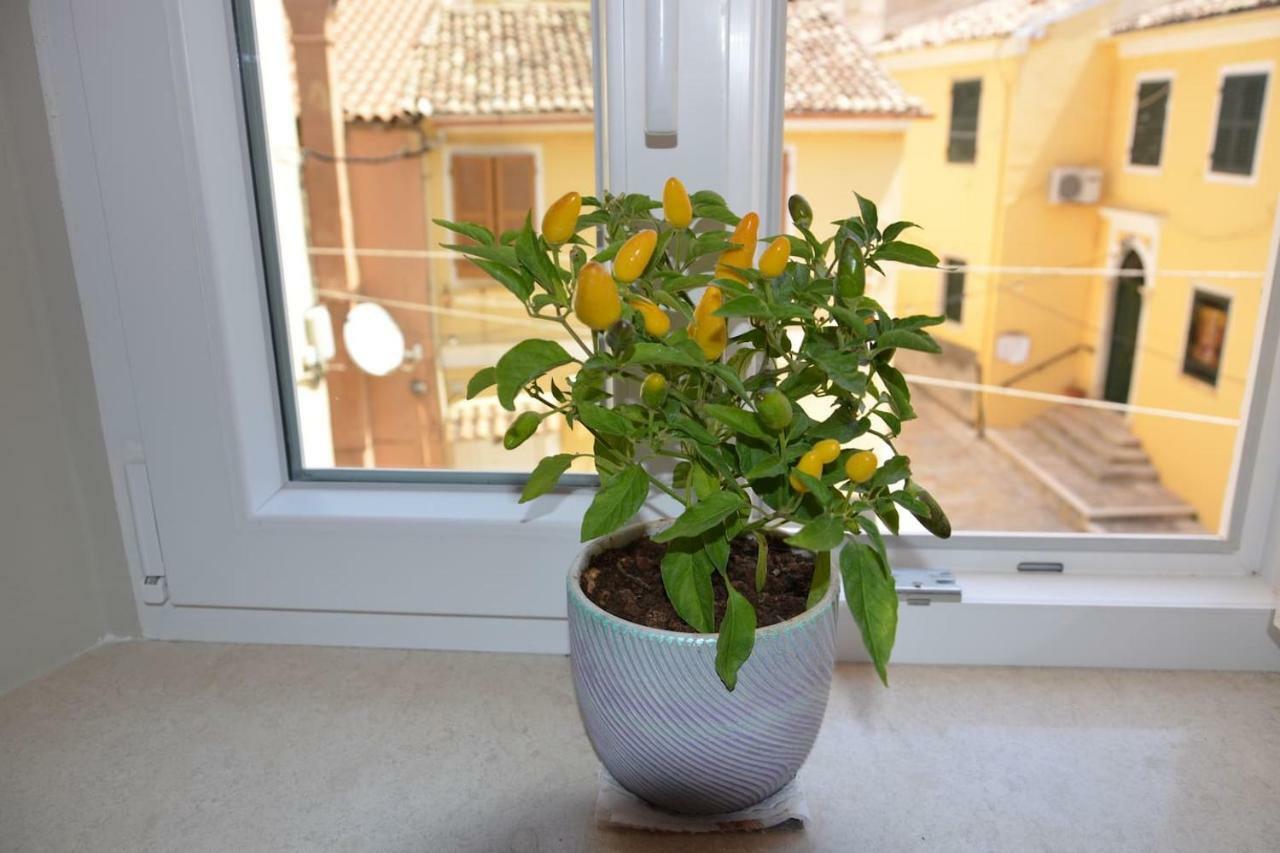 Apartment Suitedreams,next To St.spiridon Church Corfu (city)